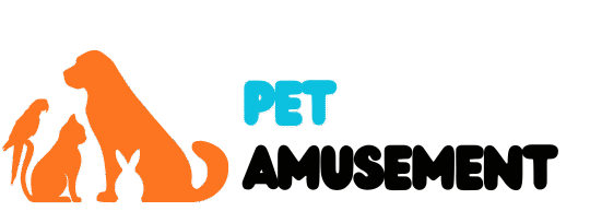 Petamusement